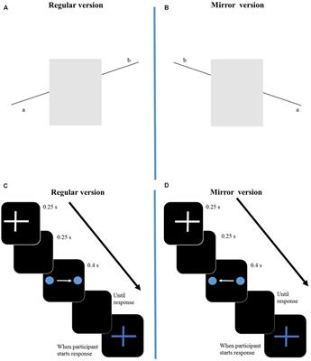 Spatial Alignment and Response Hand in Geometric and Motion Illusions